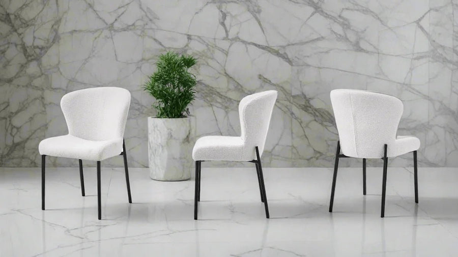 Chairs - Oval - Luxurious Dining Chairs - Spaceman